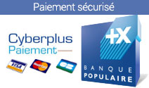 paiement securise carte grise en ligne - footer